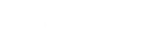 ANF-Accounting-Logo
